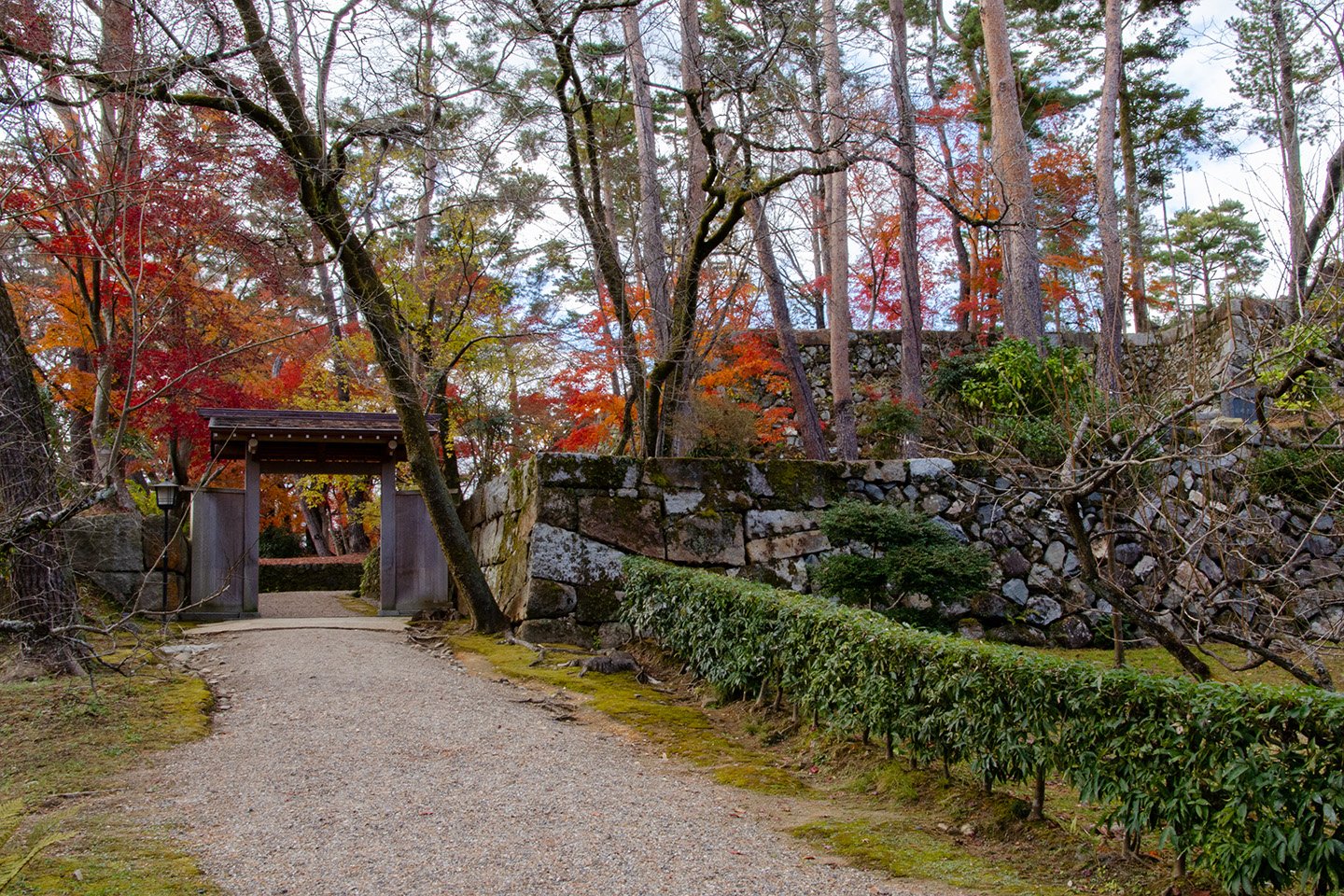 🏯 가메야마 성터(가메야마조시) 이미지 5